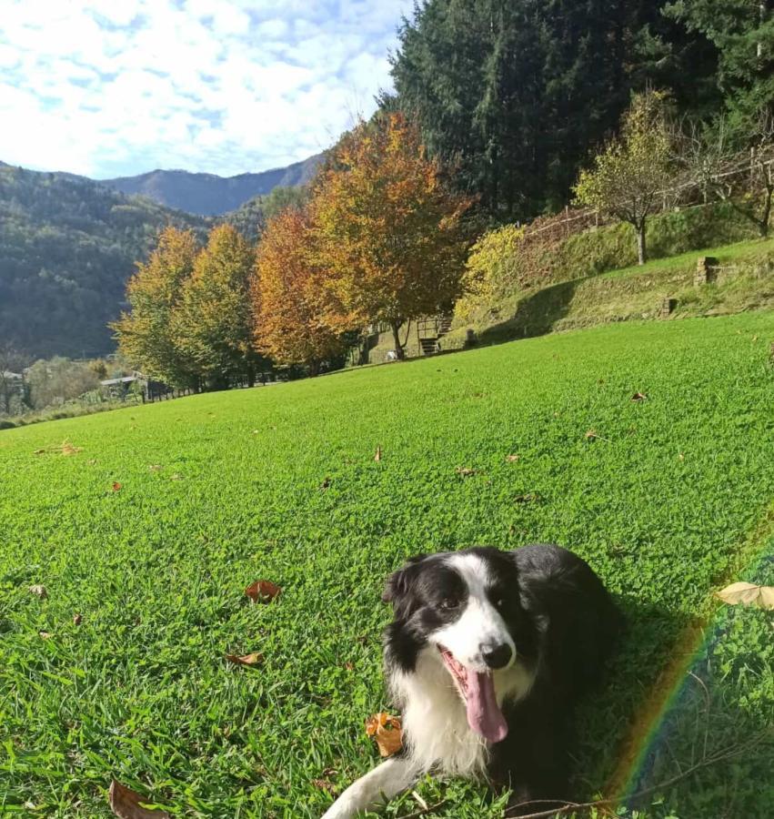 Il Bosco Di Campo Marzano & Sky *