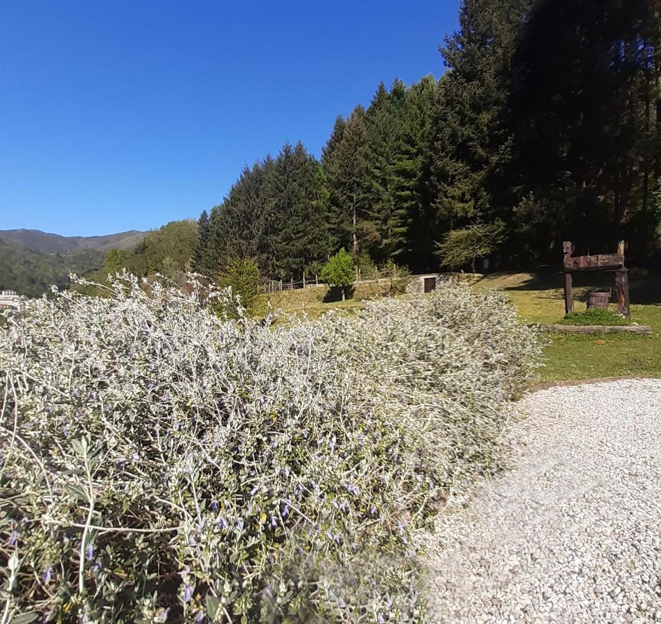Apartment Il Bosco Di Campo Marzano & Sky