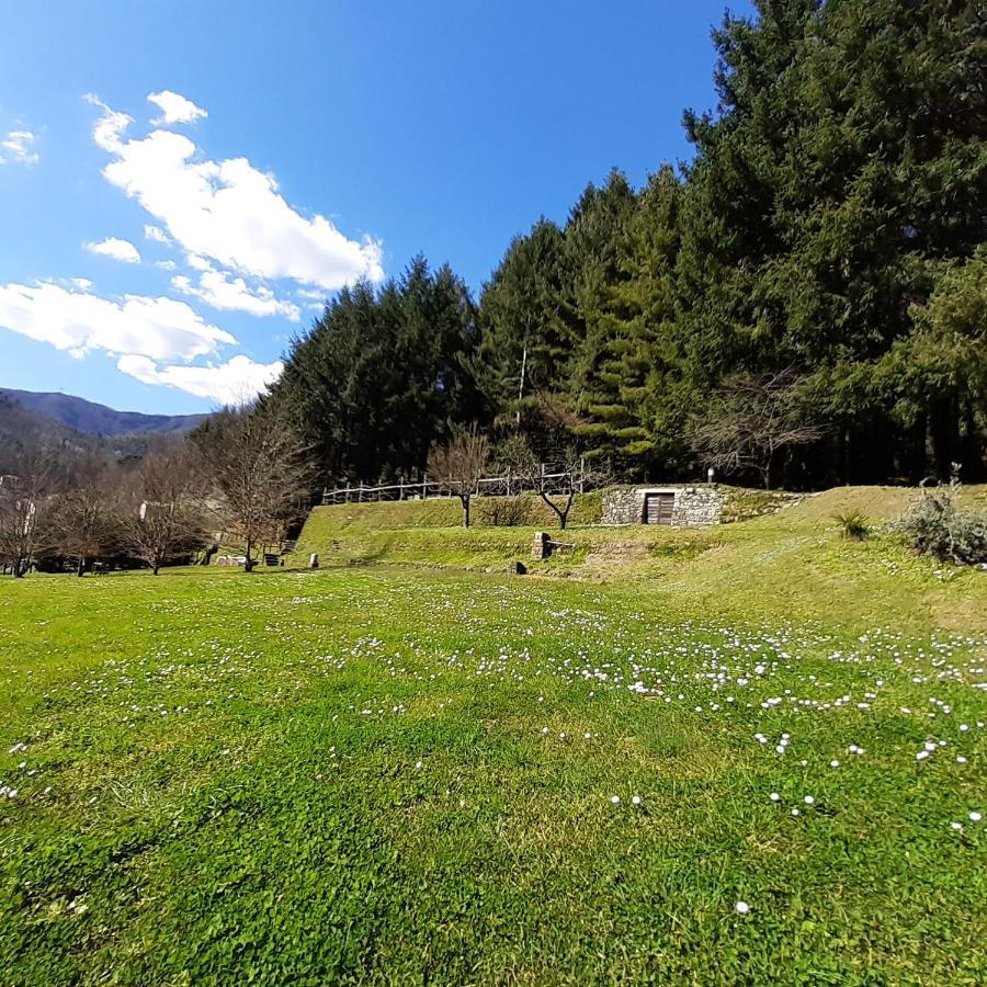 Il Bosco Di Campo Marzano & Sky Borzonasca