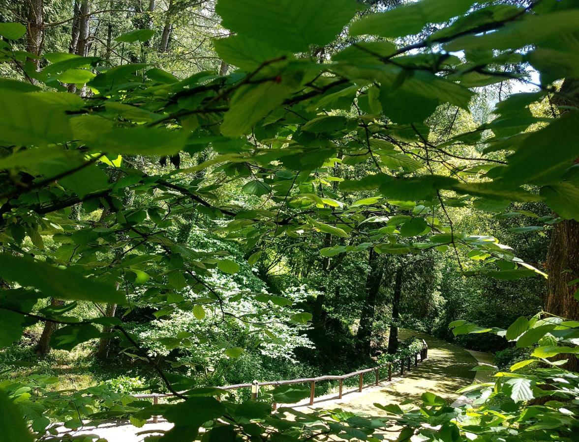 Il Bosco Di Campo Marzano & Sky Borzonasca