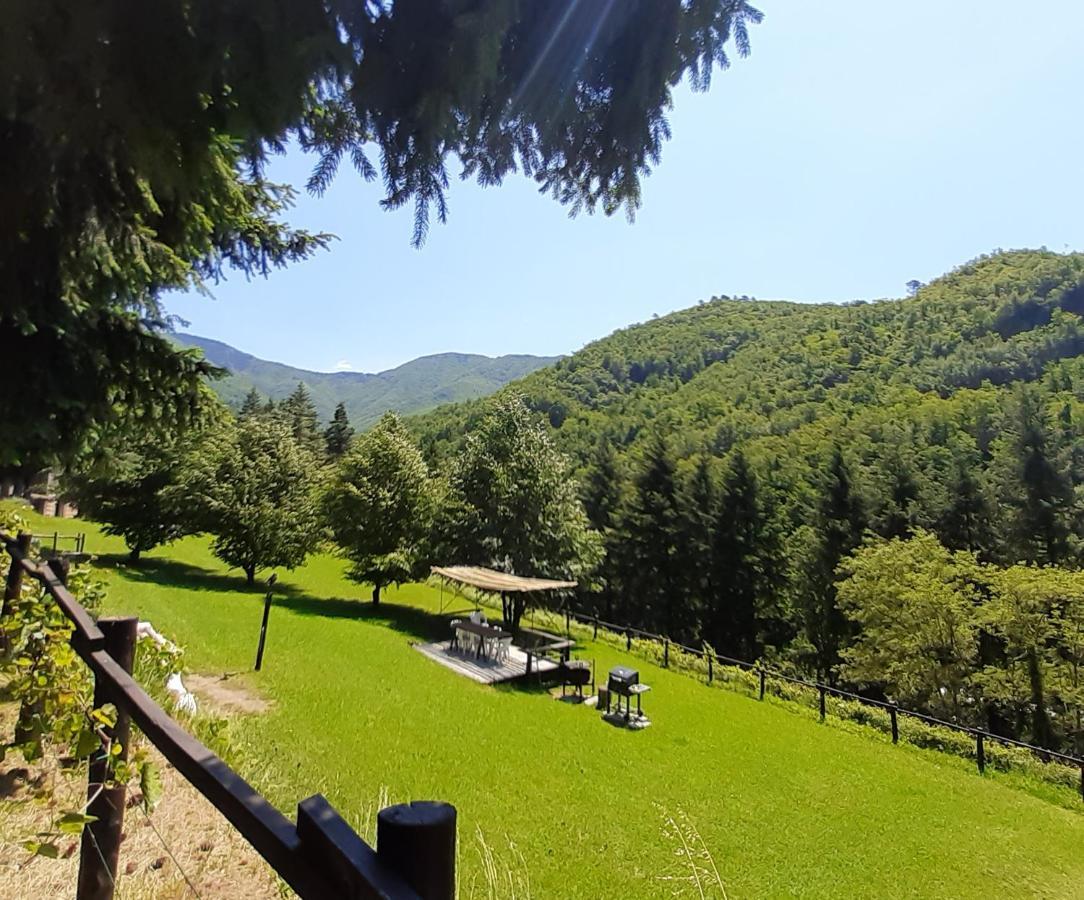 Il Bosco Di Campo Marzano & Sky Apartment